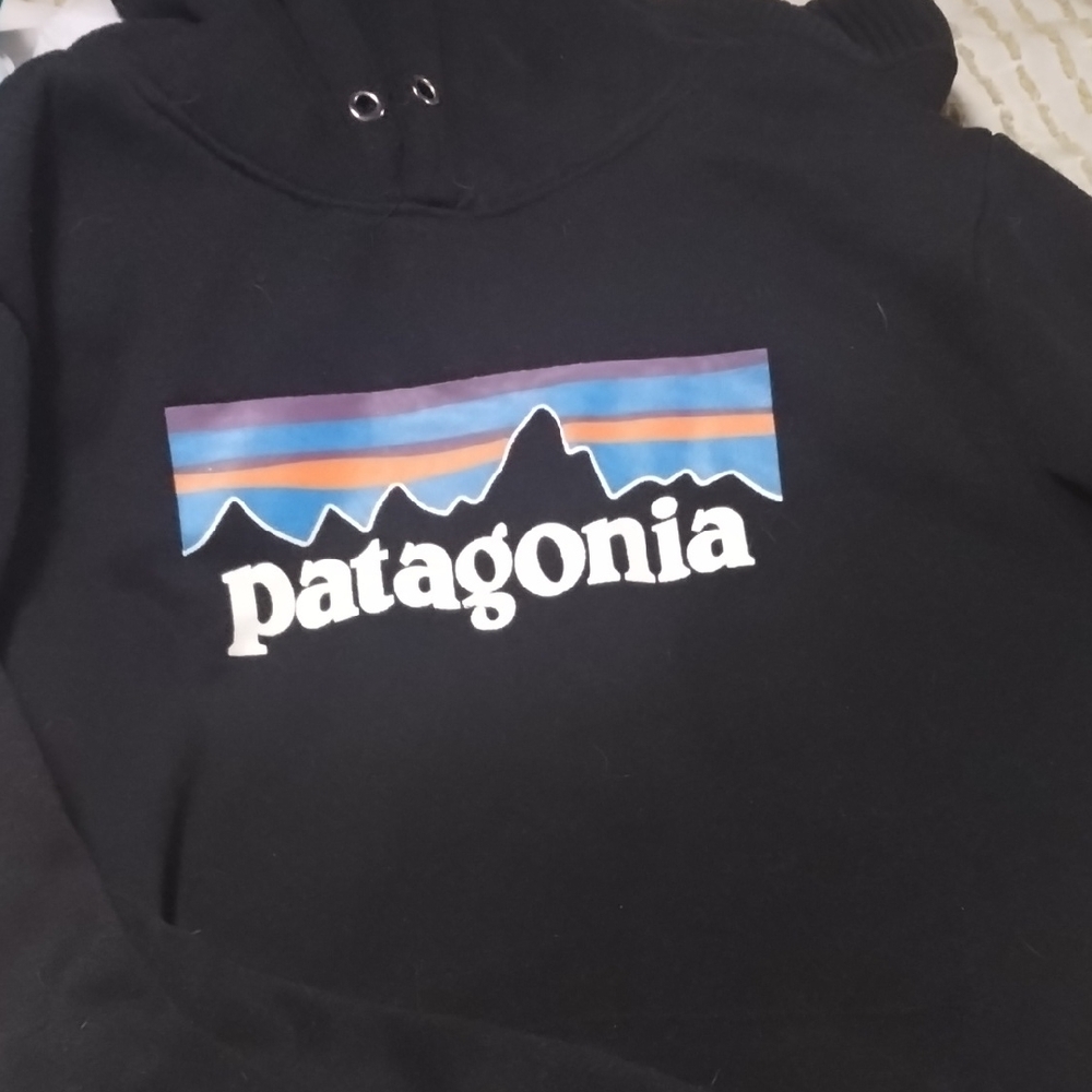 Patagonia Black Hoodie with Multicolor Logo
